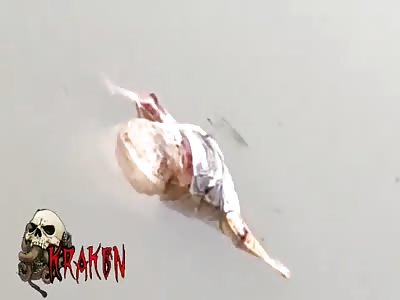 Corpse floating in the water#2