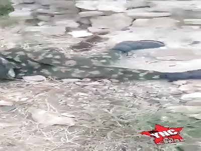 Armenian army, dead bodies.