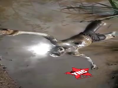 Body found in a state of decomposition