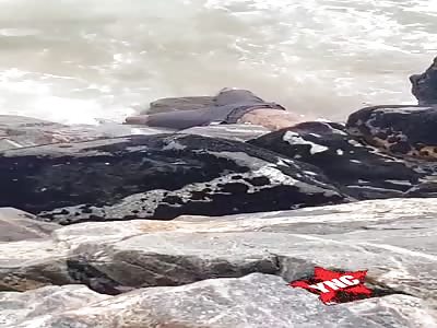 Headless found body on the seashore.