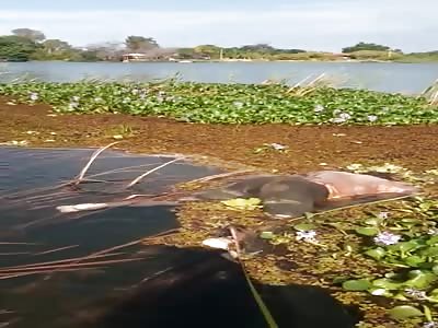 Wow another body floating in the water