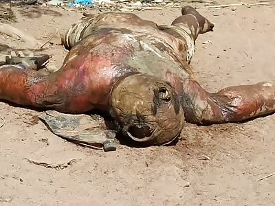 Corpse  found in the field