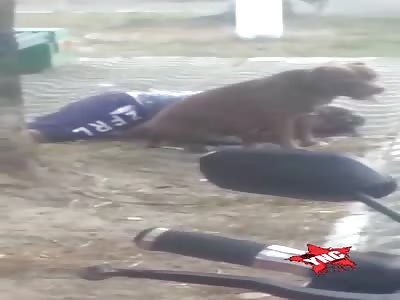 Man Was Killed by Multiple Shots.