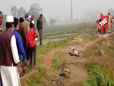 Corpse of man with shattered head