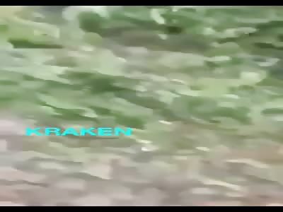 Soldiers killed in ambush