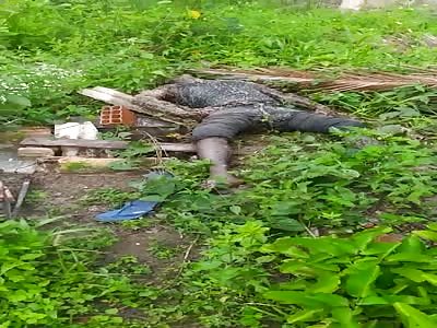 Body found in the woods