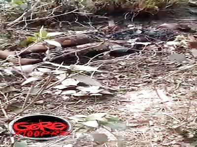 The meat is well toasted and crispy