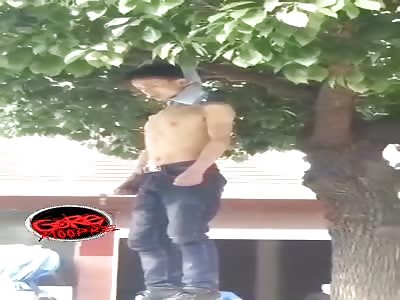 Trees look good with dead people