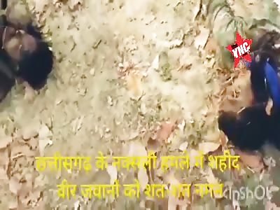 Soldiers fallen in battle