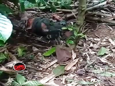 Body in a state of putrefaction