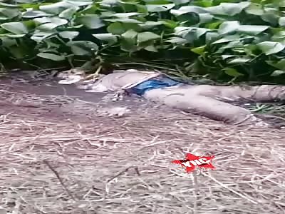 Woman's body in a state of putrefaction