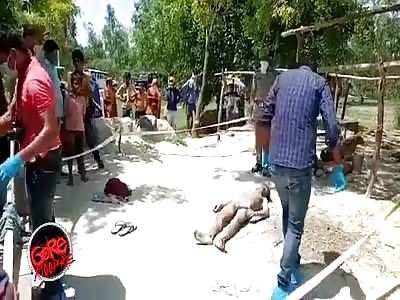 Young man was beaten to death