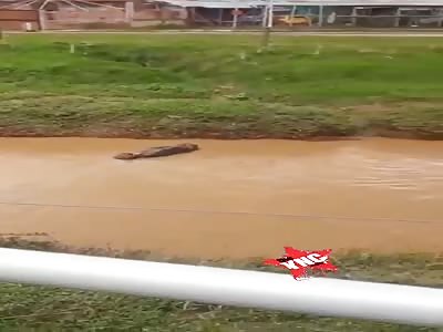 Corpses of Colombian protesters were thrown into the water