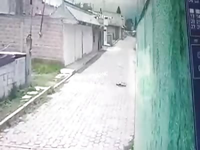 What a fucking way to die