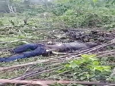 Body found in the field