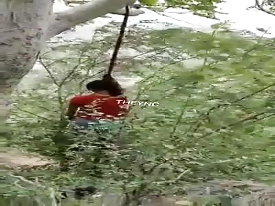 Good ornament for the tree