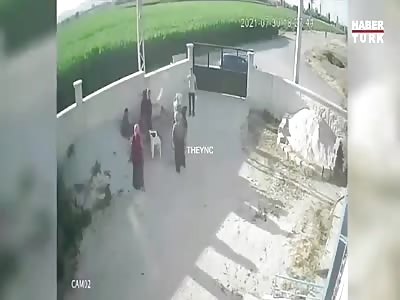 Never argue with an armed man