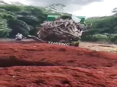 Get rid of many corpses