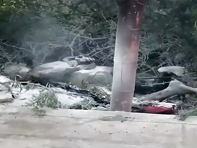 They find a calcined body