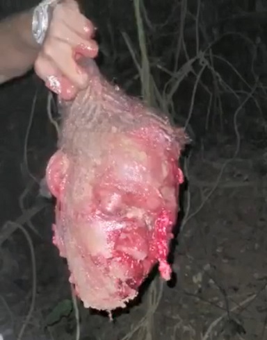 When You Want To Live The Gang Life In Jamaica.