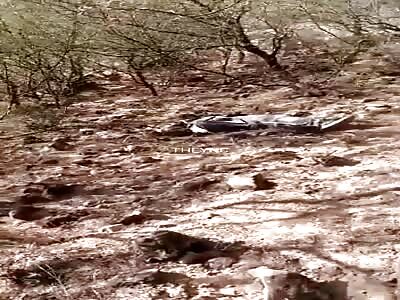 Dead man in the field