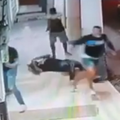 The Hitman You'll Never See Coming 