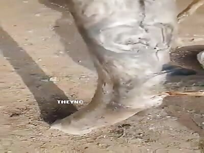 Tied up and brutally beaten