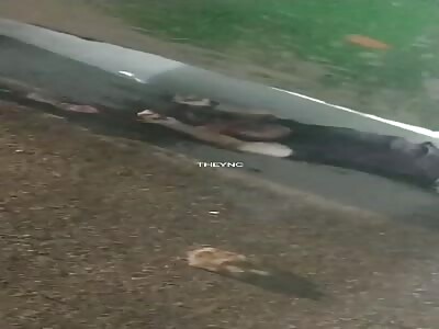 Did someone say brains?