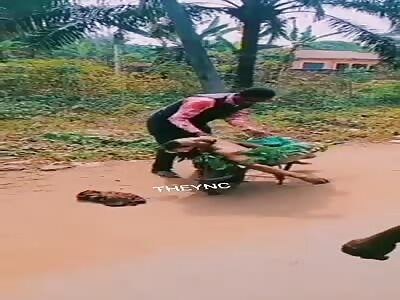 Accommodate the dead in the wheelbarrow