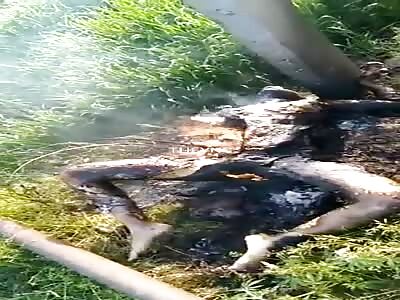 Body reduced to carbon