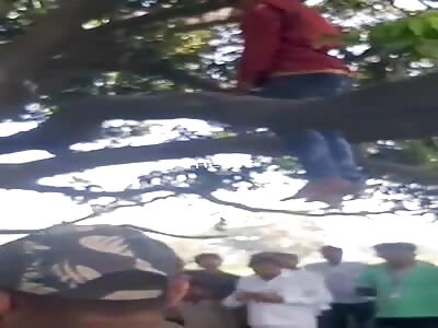 what a nice decoration