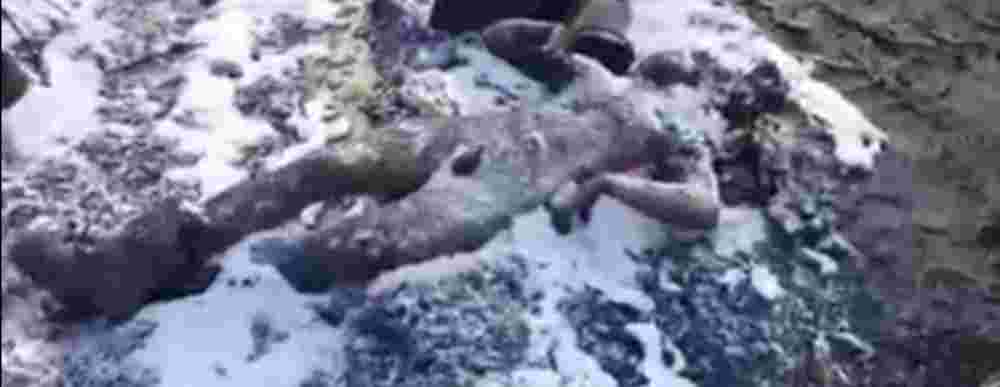 Aftermath of combat in Ukraine