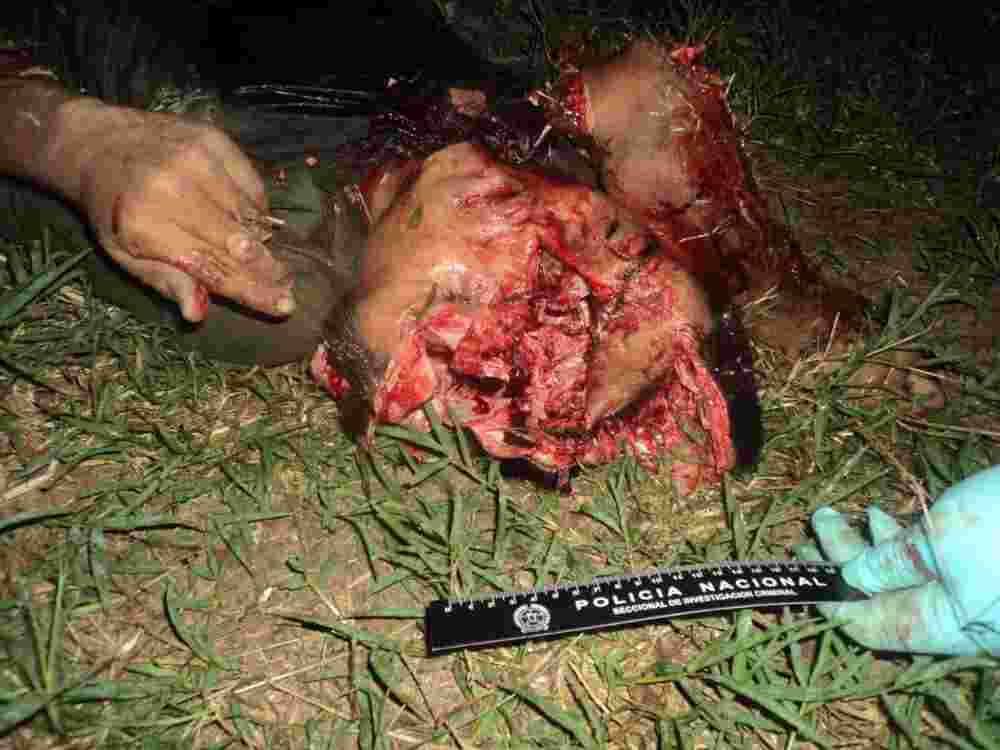 brutally murdered soldiers