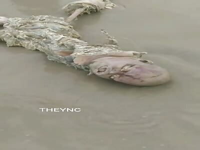 The man went to fish food