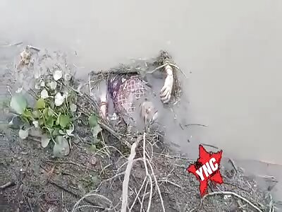 Corpse of woman found in water