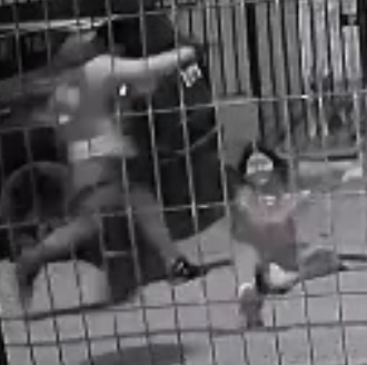 Woman Brutally Assaulted 