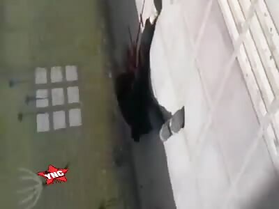 He killed his wife and committed suicide