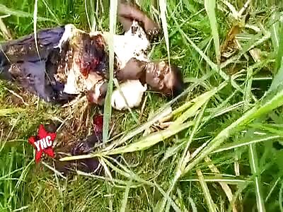 Cable thief dies electrocuted