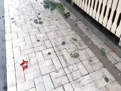 Civilians killed after bombings in Ukraine