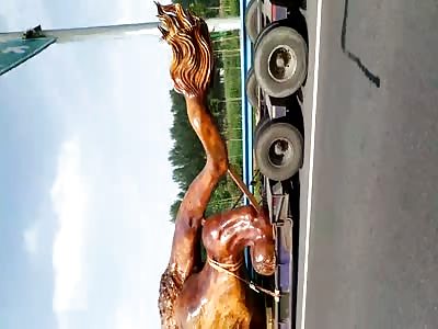 Gigantic wooden lion