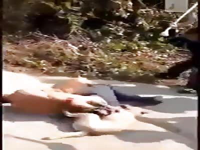 The man receives a beating while carrying dogs tied on his body