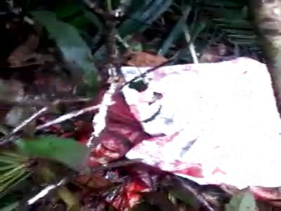 murdered man found on the side of the road