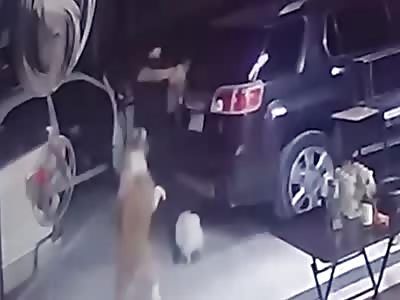 Live murder! shocking video!