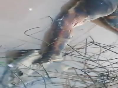 CADÃVER IN THE DISTRICT BETOLANDIA IN THE VICTIM JUDGE OF THE FEMALE SEX VICTIM IS IN A CONDITION OF DECOMPOSITION