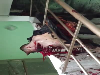 Awesome wtf, it seems that the man exploded