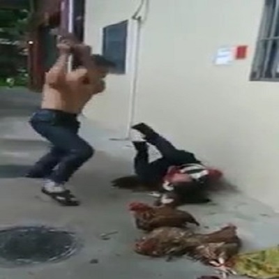 Thief caught stealing chickens beaten with brick