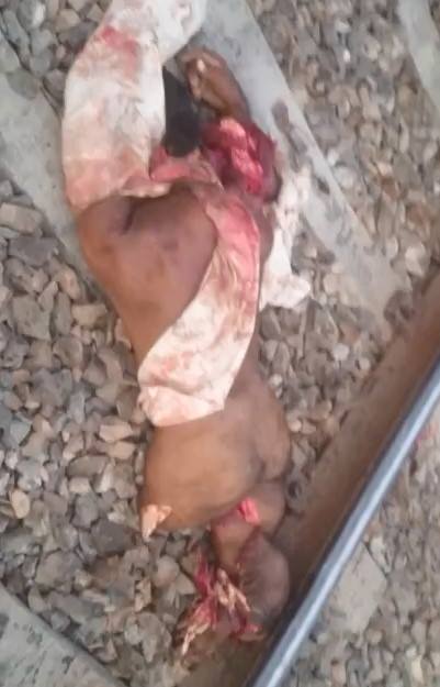 Man left in Multiple Pieces after Train Suicide