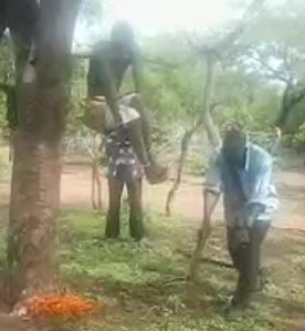 Cruel Jungle Justice ( Thief in Africa)