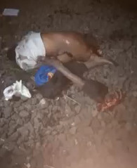 Train Horror: Man Dismembered from Train Suicide (New) 