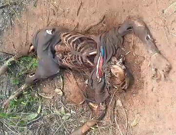 Man is found eaten a bit by animals